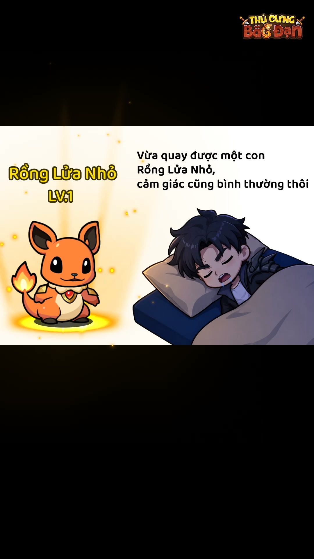 Thú Cưng Bão Đạn 广告素材