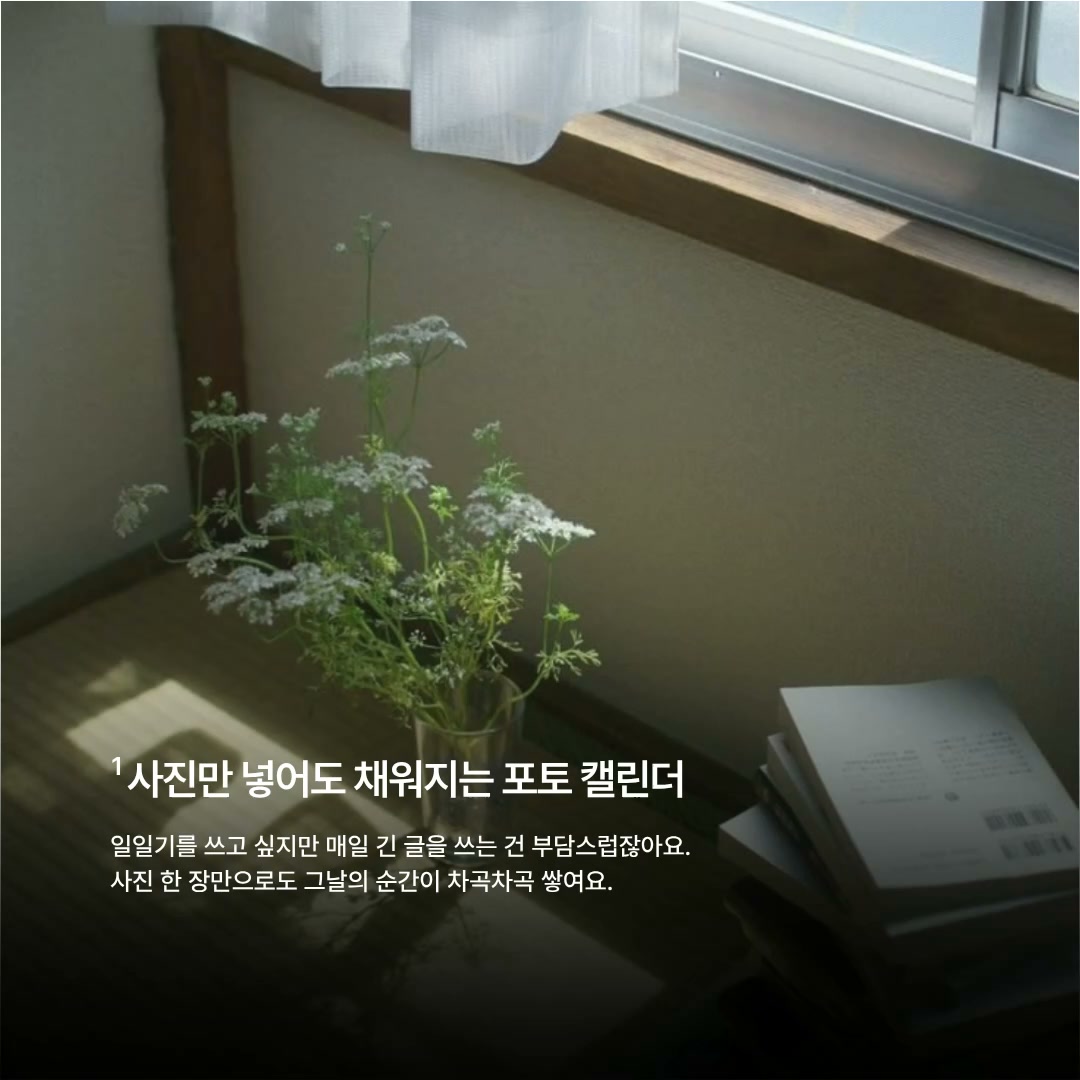 DayPic-Photo Diary & Journal advertising creative