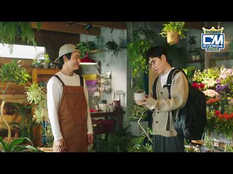 Indeed Job Search 广告素材
