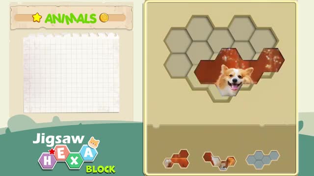 Jigsaw Hexa Block 广告创意