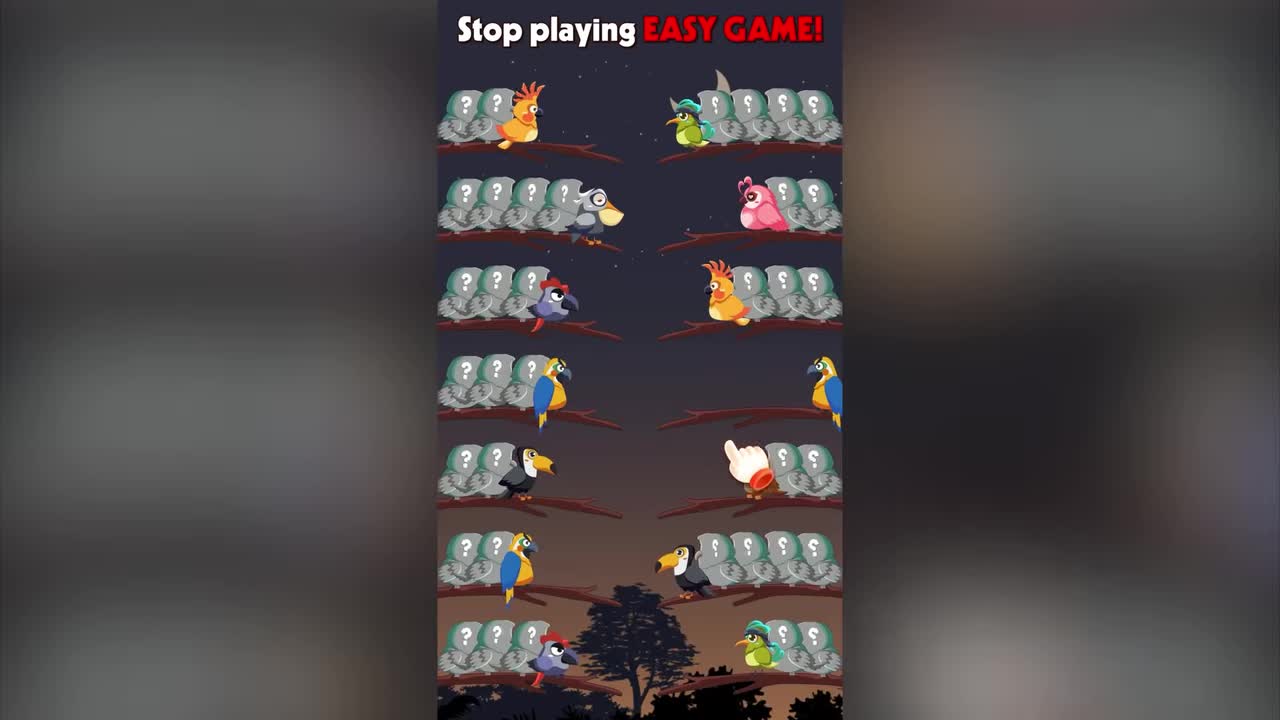 Bird Sort 2: Color Puzzle ad creative
