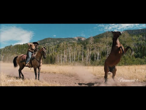 Paramount+ advertising creative