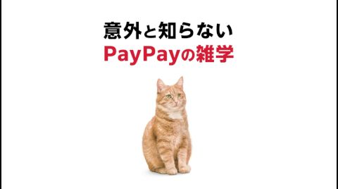 PayPay-ペイペイ 广告素材