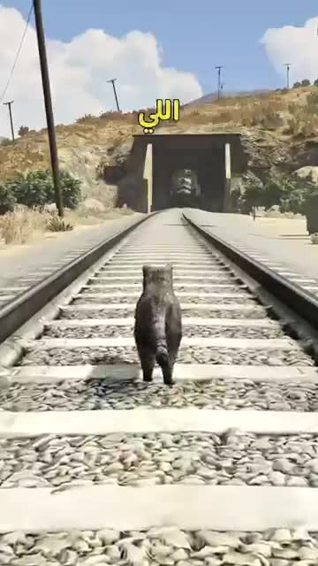 Grand Theft Auto: San Andreas advertising creative