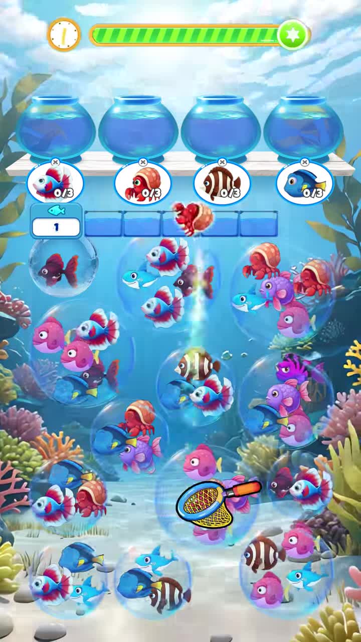 Fish Sort Puzzle: Match Games 广告素材