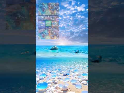 Dragon Light – Tiger Dark 广告素材