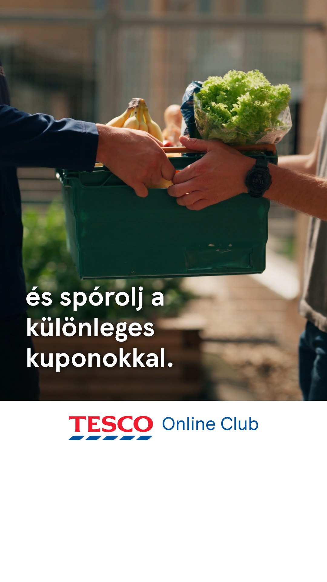 Tesco Groceries for iPhone advertising creative