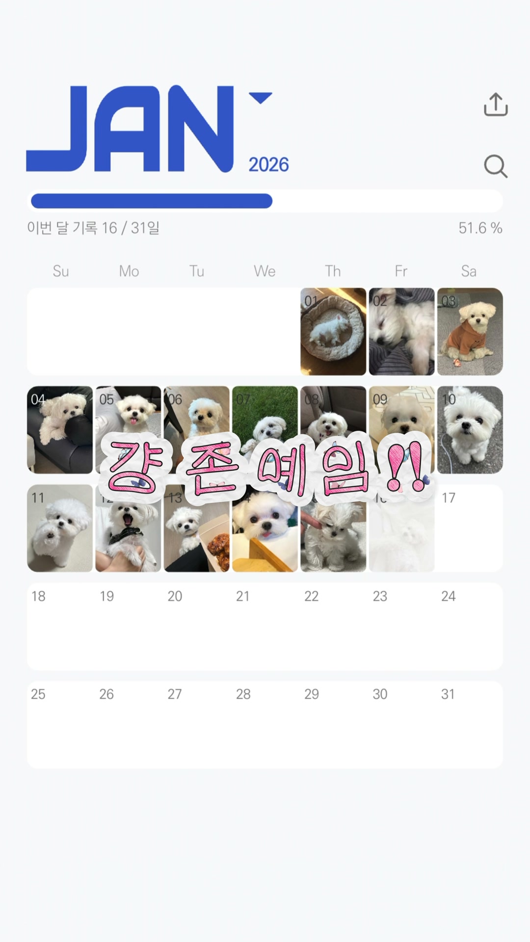 DayPic-Photo Diary & Journal advertising creative