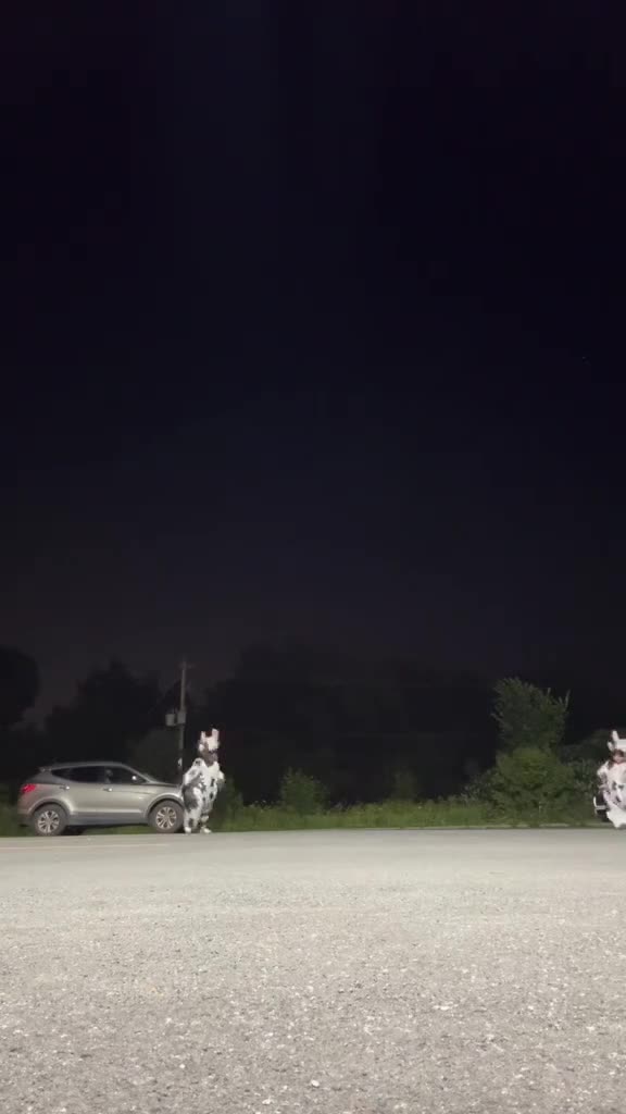 Whiteout Survival 广告素材