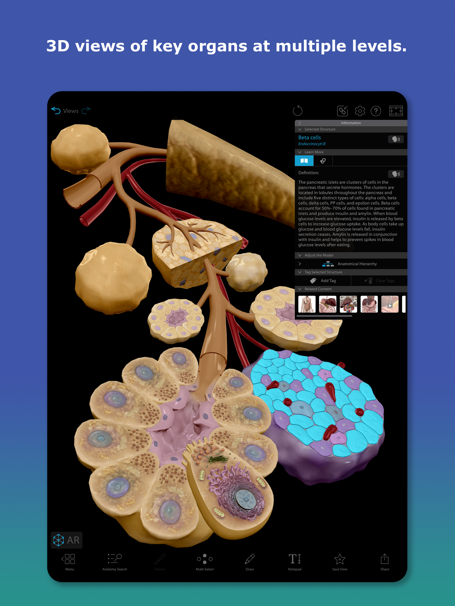 Human Anatomy Atlas 2027 广告素材 1