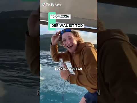 TikTok Pro advertising creative
