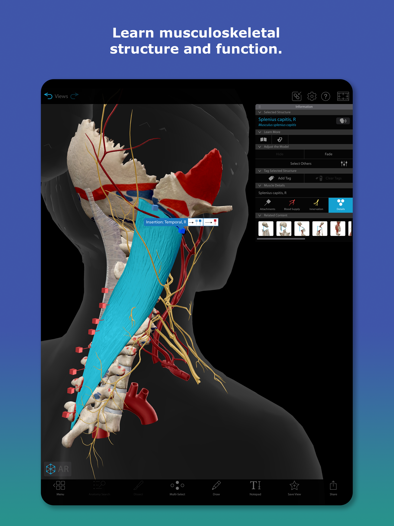Human Anatomy Atlas 2027 广告素材 2