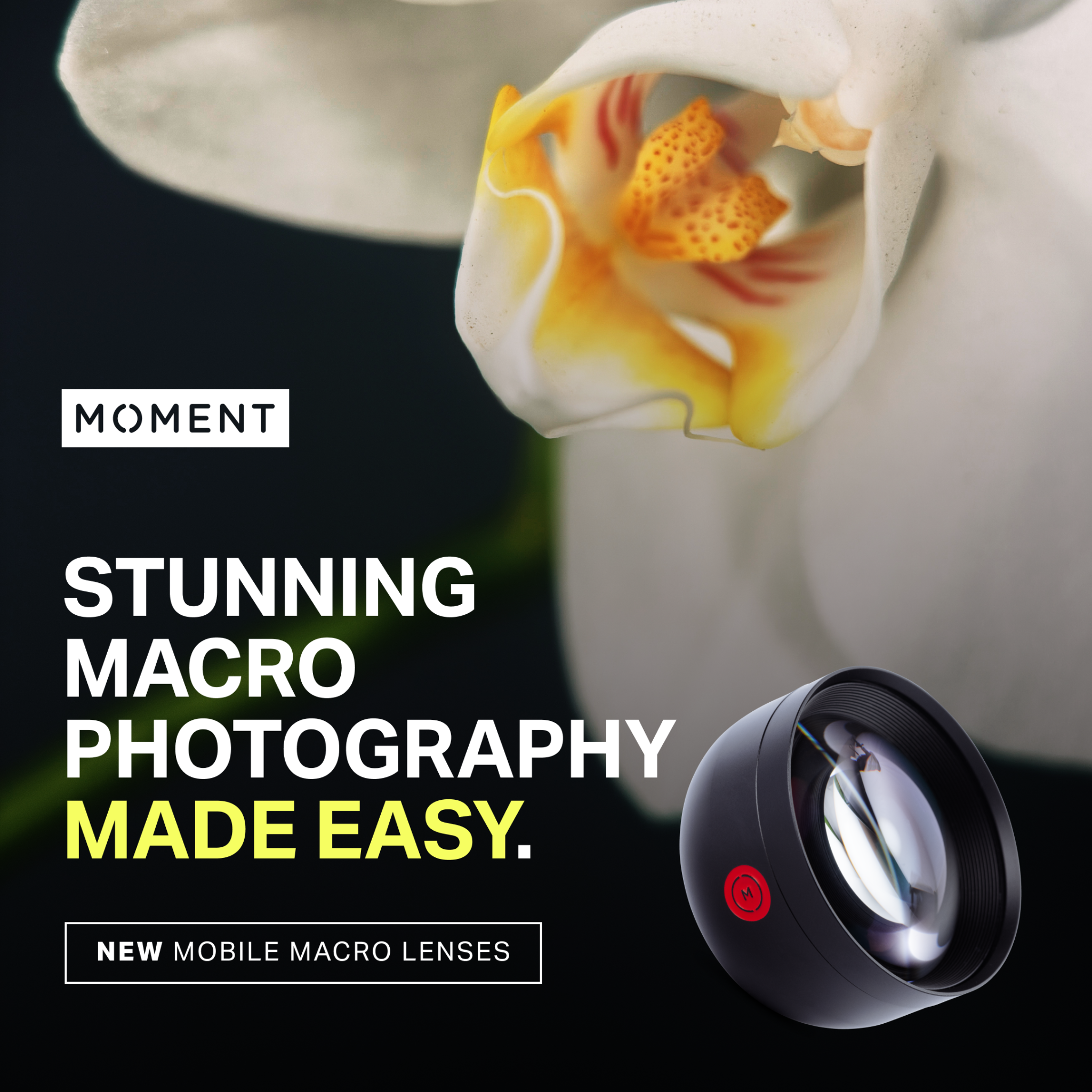 Moment Pro Camera II 广告素材