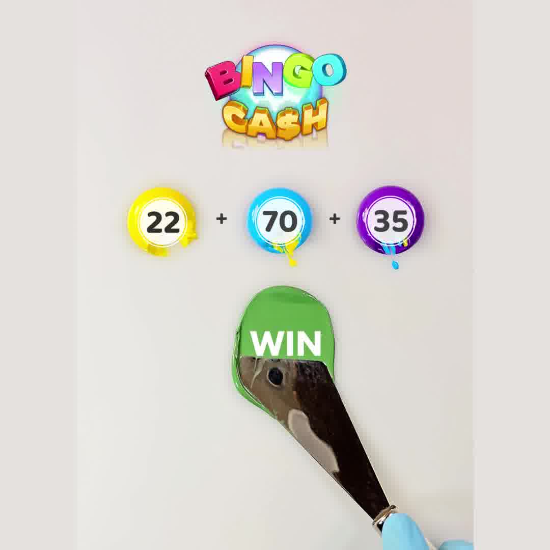 Bingo Cash 广告素材
