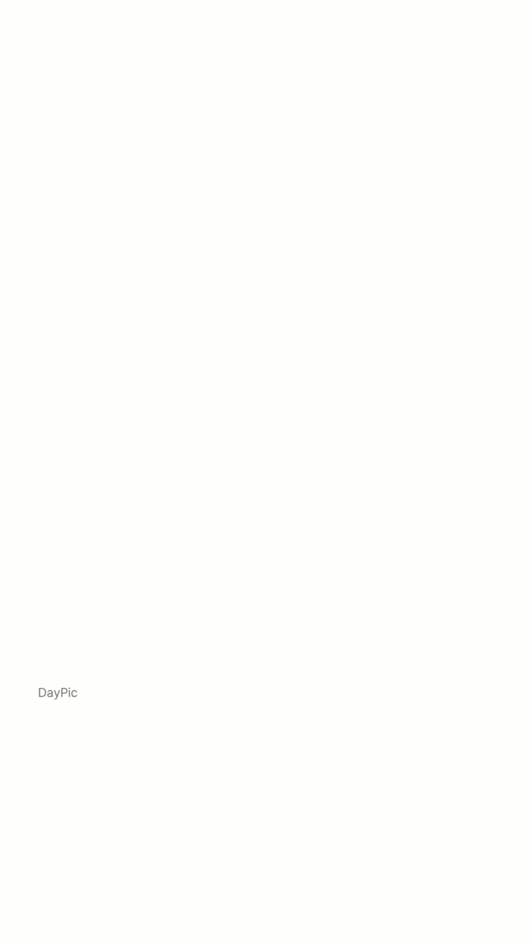 DayPic-Photo Diary & Journal advertising creative