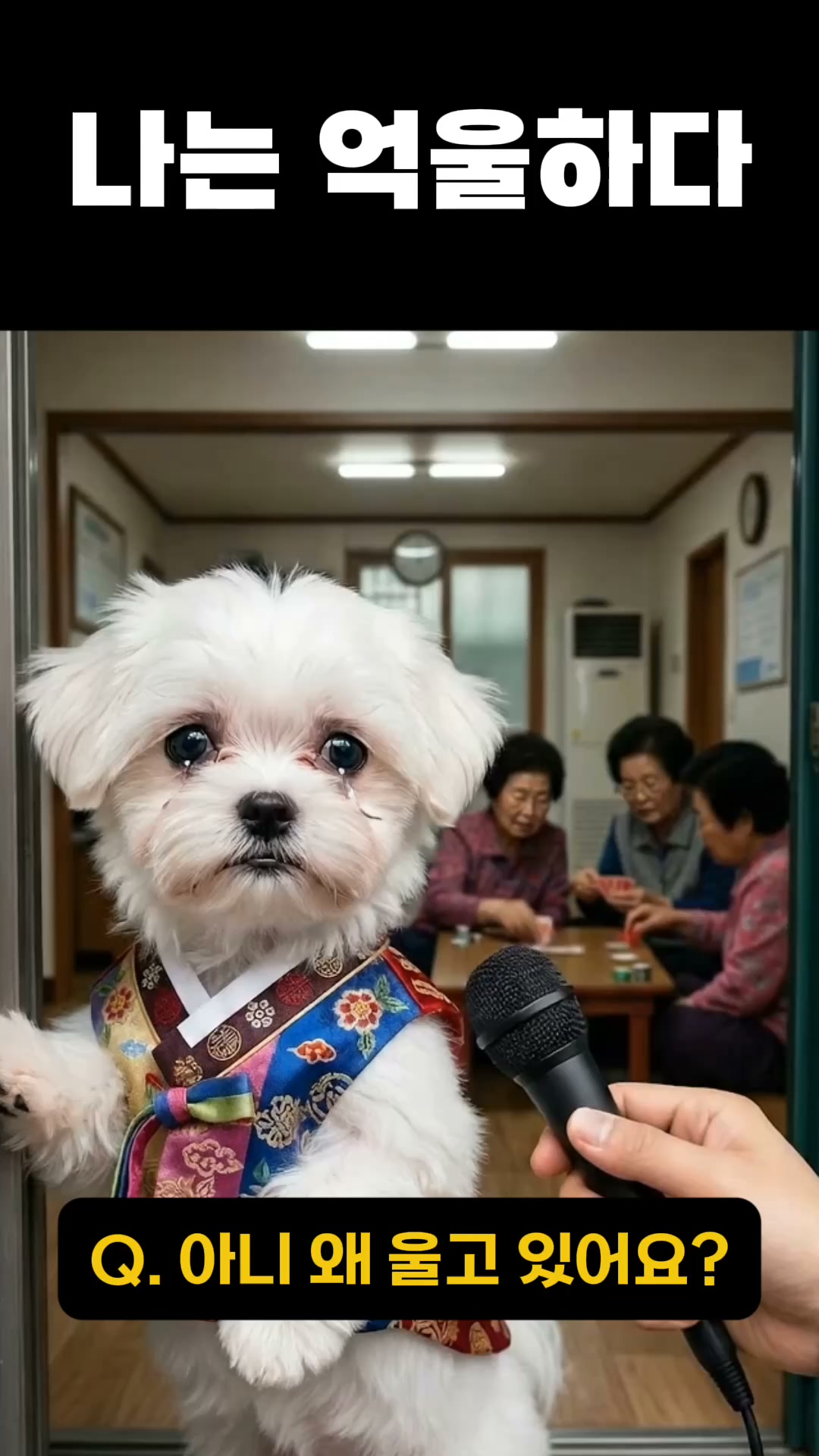 고스톱M : 데이터 필요없는 맞고 게임 advertising creative
