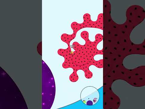 Paper.io 2 advertising creative