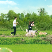 티빙(tving) 广告素材
