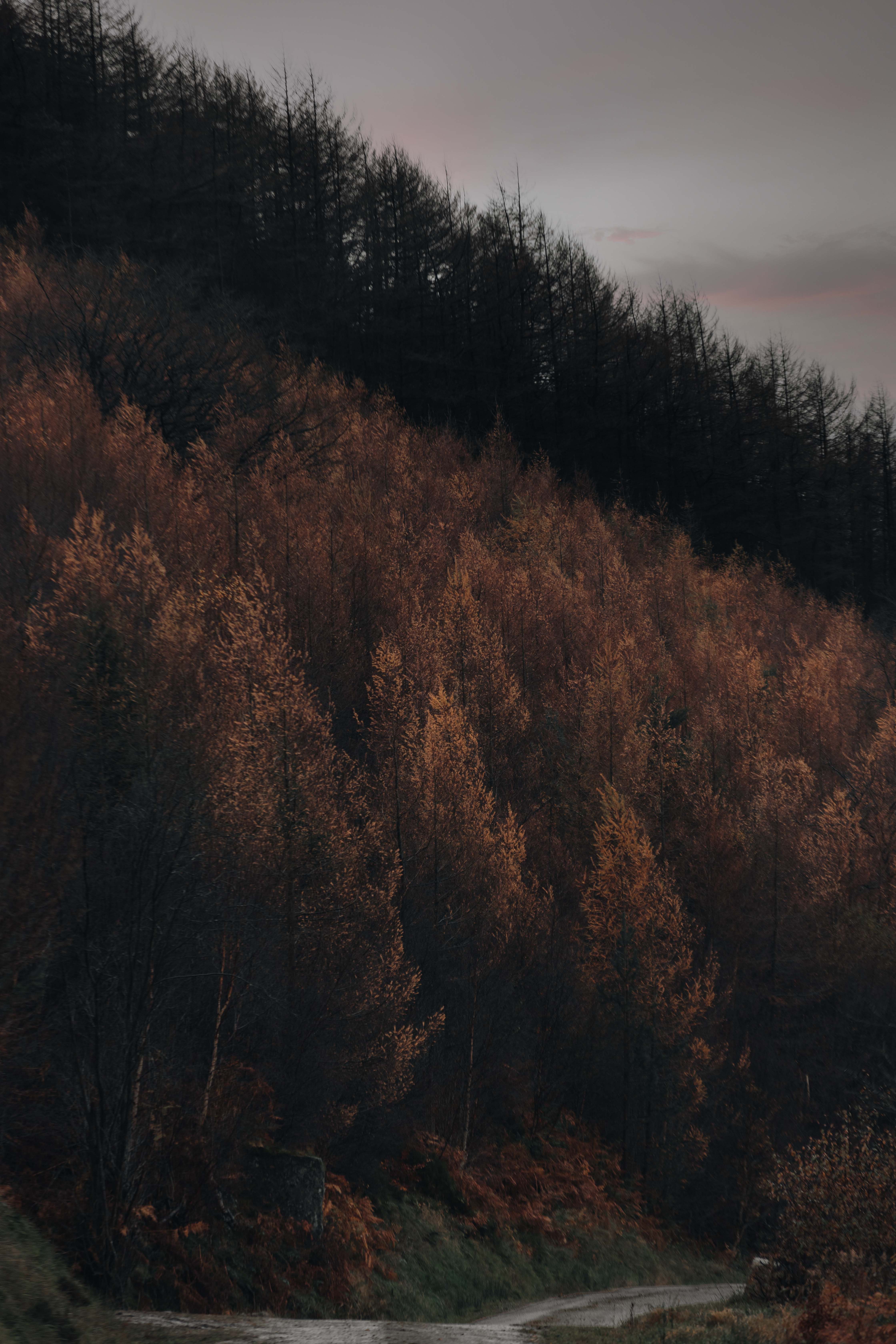 www.mbris.kr ad creative