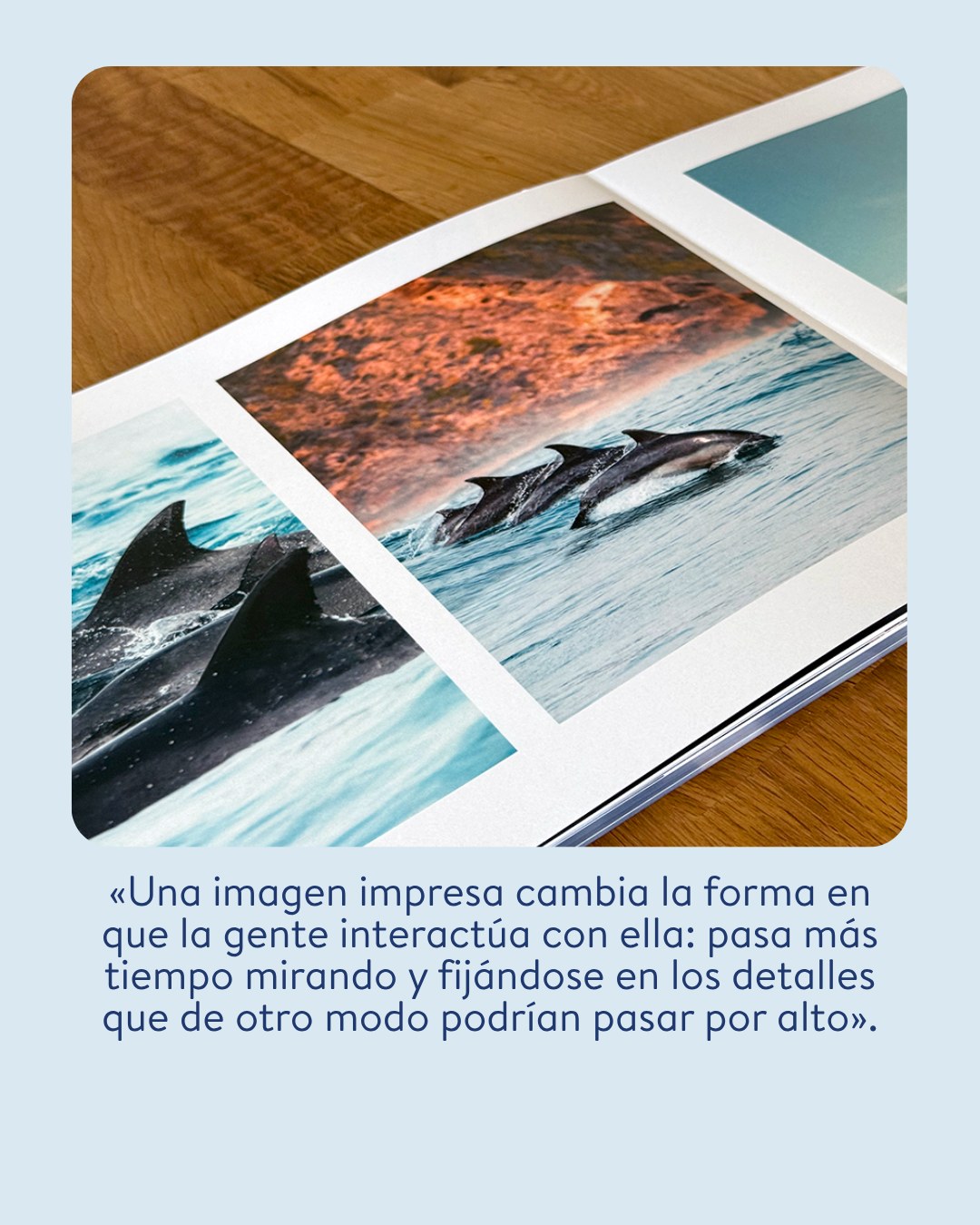 Hofmann - Álbumes de fotos 广告创意 4