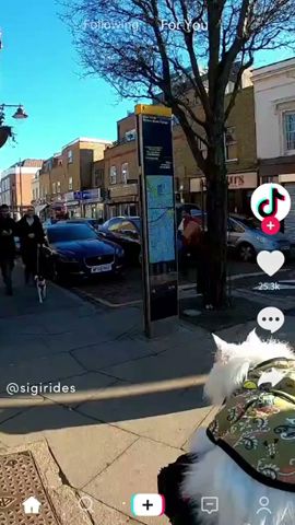 TikTok 广告素材