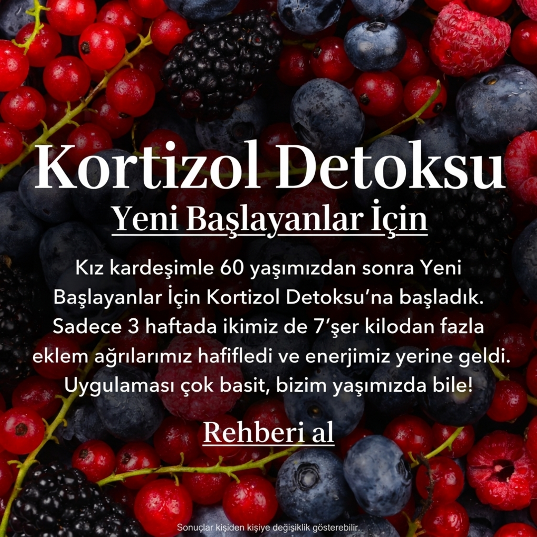cortisoldetox.com ad creative