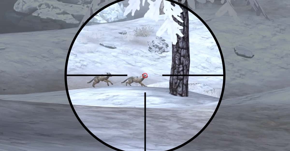 Sniper Shooter Wild ad creative