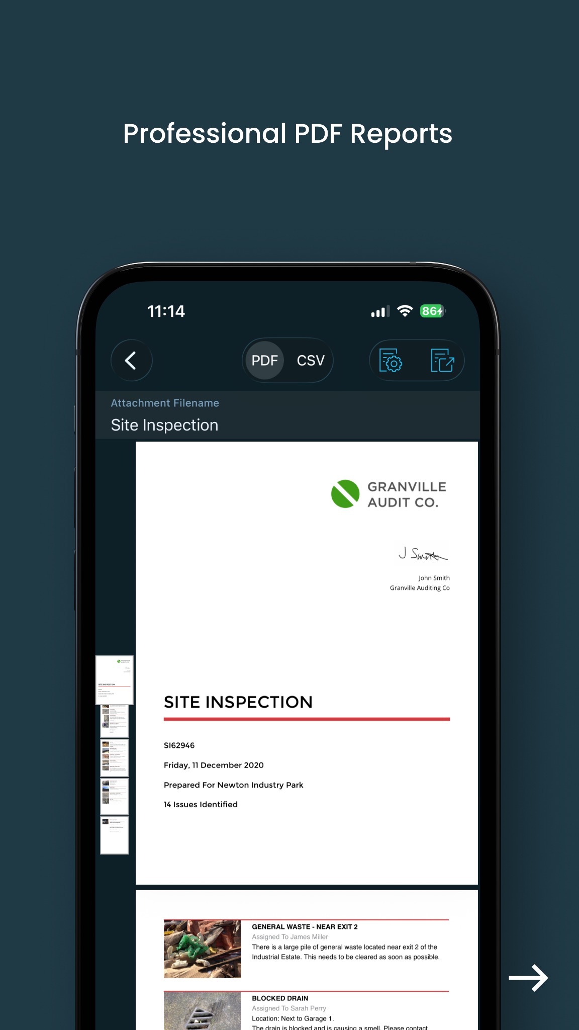 Site Audit Pro advertising creative