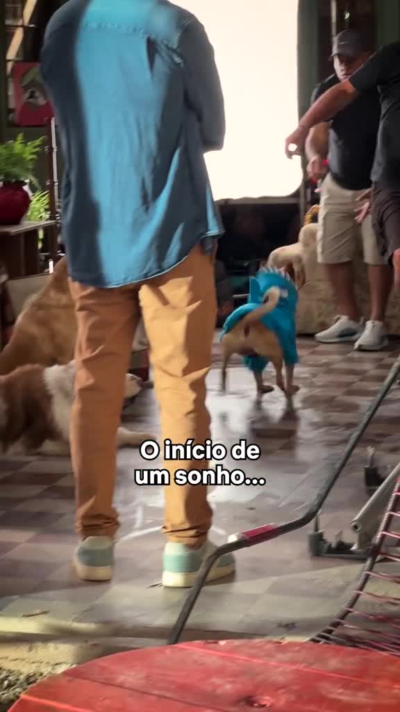 Netflix advertising creative