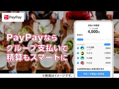PayPay 广告素材