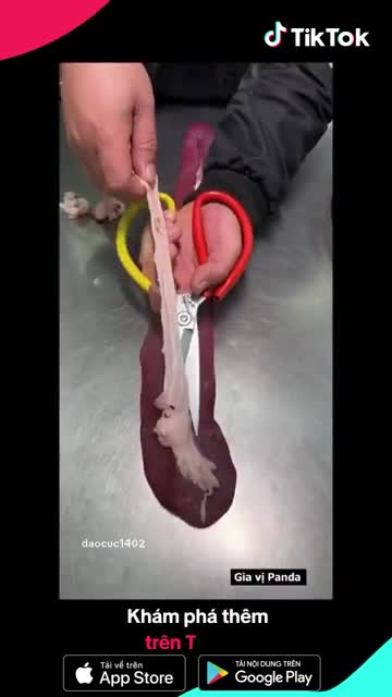 TikTok ad creative