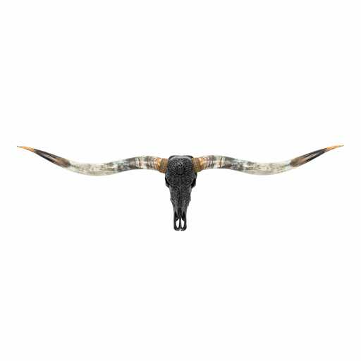 Carved Animal Skulls for Sale | Unique Skull Decor | Skull Bliss ad creative