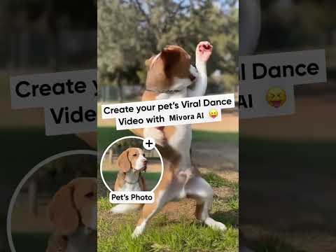 Mivora AI-Video & Image Maker advertising creative