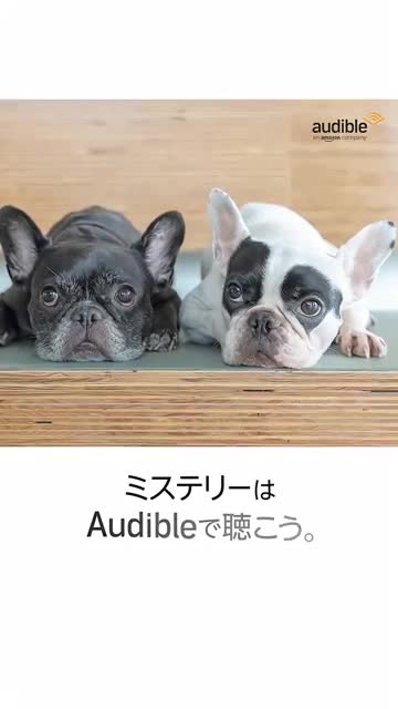 Audible: Audiobooks & Podcasts advertising creative