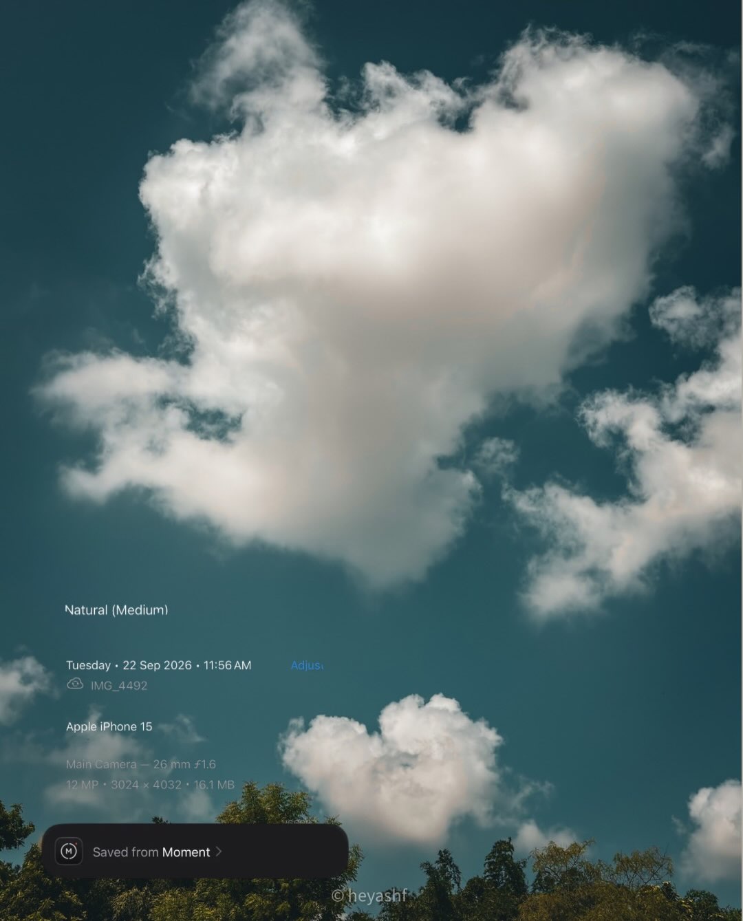 Moment Pro Camera II advertising creative 5