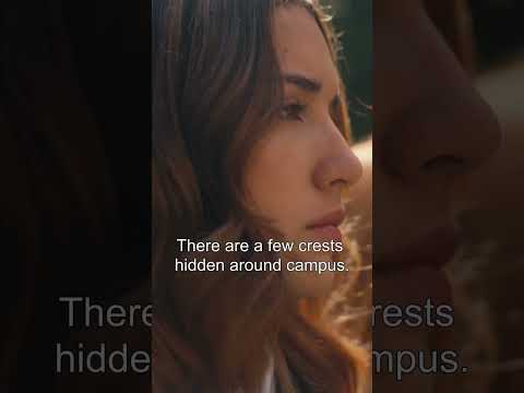 MyDrama - Short Drama Stream 广告素材