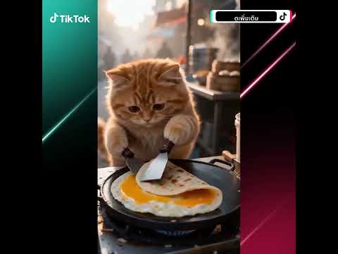 TikTok ad creative
