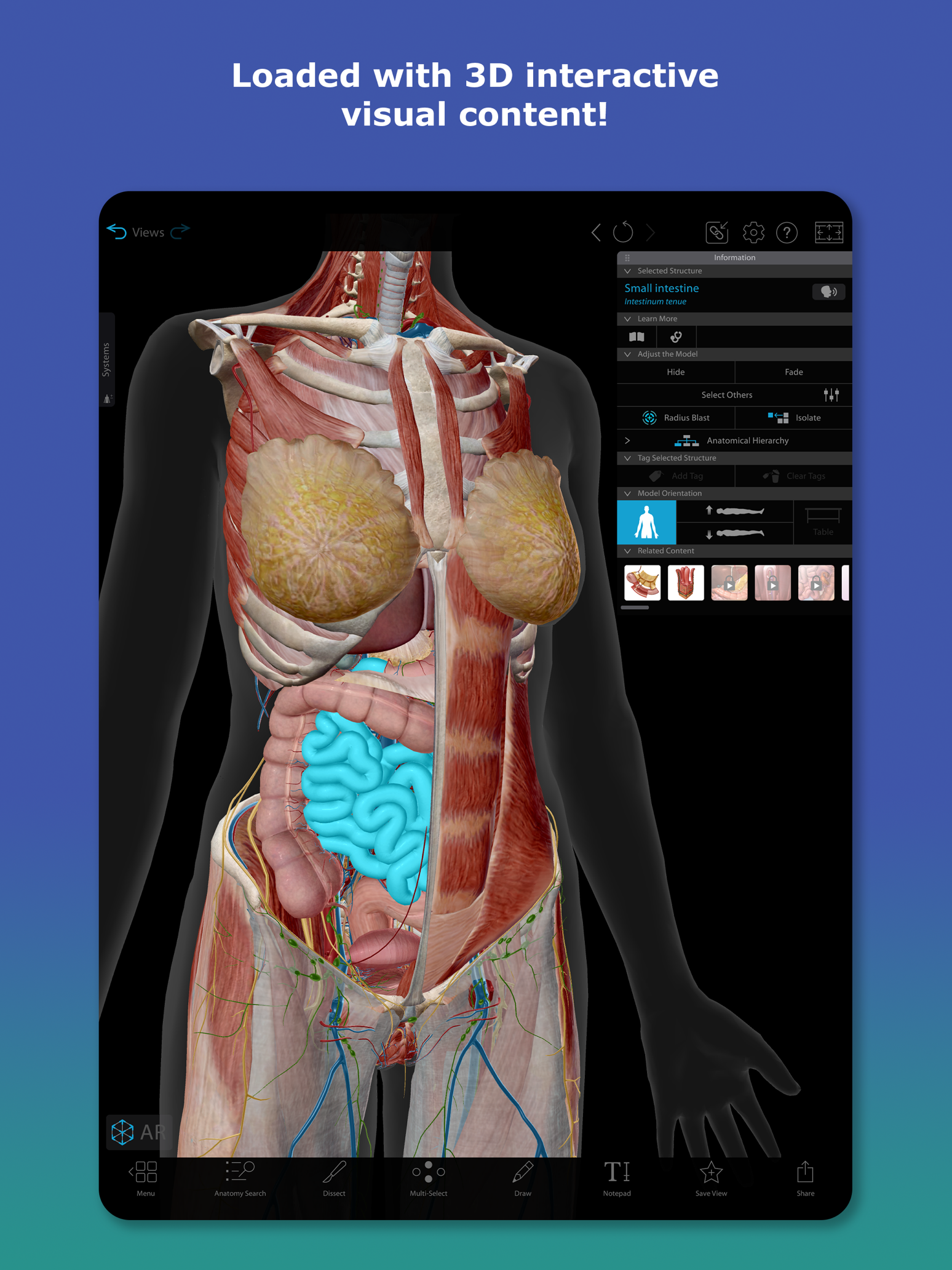 Human Anatomy Atlas 2027 广告素材 3