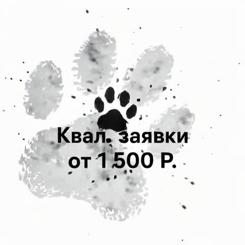 qual.lead-fixer.ru ad creative