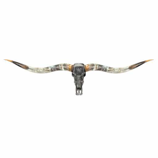 Carved Animal Skulls for Sale | Unique Skull Decor | Skull Bliss ad creative