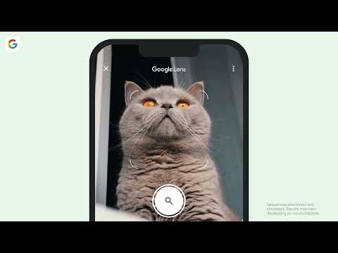 Google 广告素材