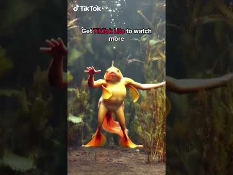 TikTok Lite - Faster TikTok 广告素材