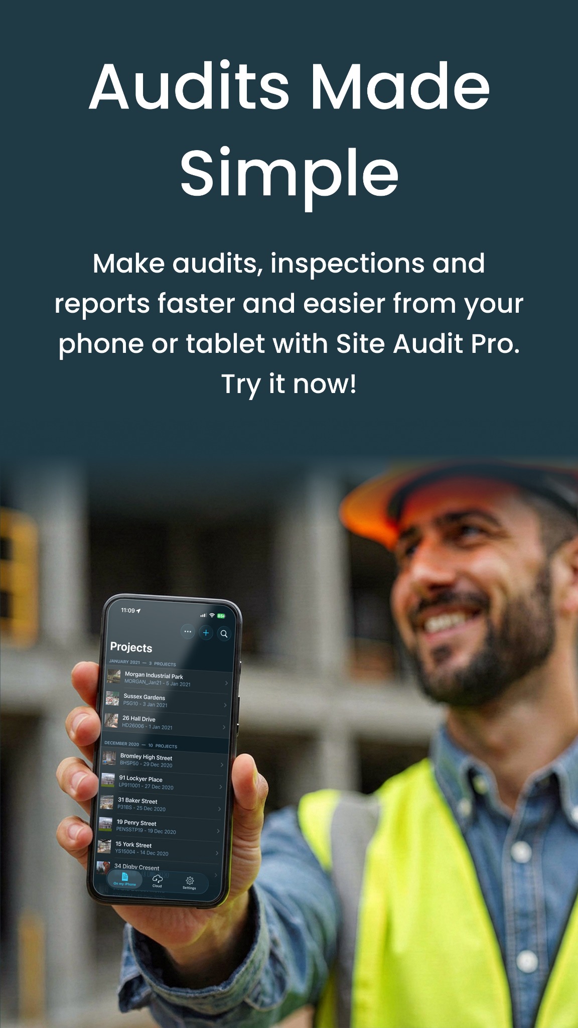 Site Audit Pro advertising creative