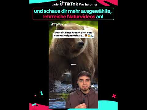 TikTok Pro 广告素材