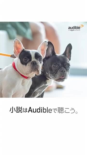 Audible: Audiobooks & Podcasts advertising creative