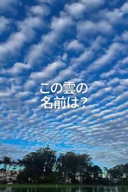 Google 广告素材