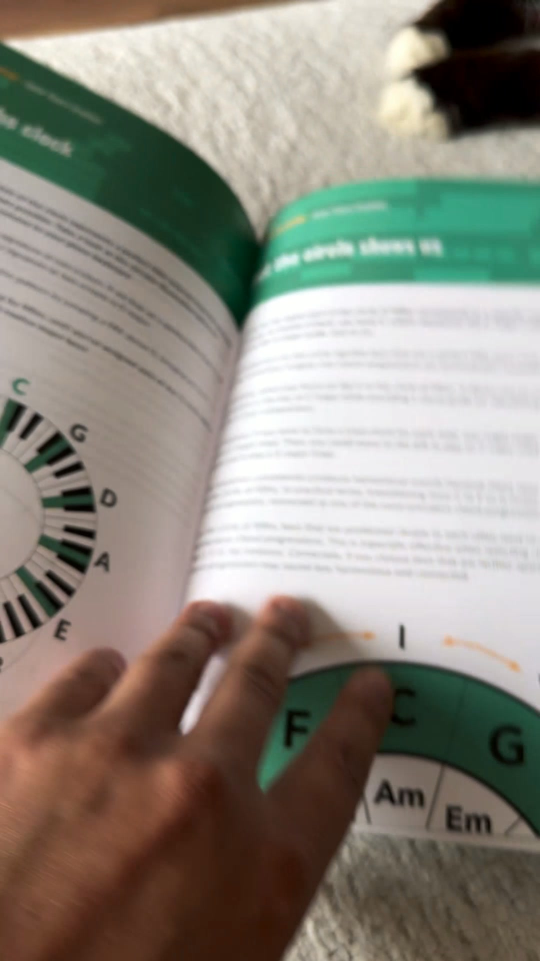 Monash FODMAP Diet advertising creative