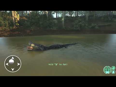 Crocodile Survival Sim 3D 广告创意
