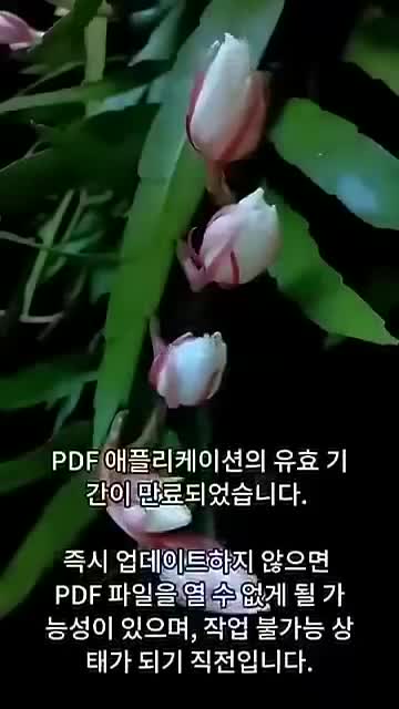 PDF Reader: Document Reader advertising creative