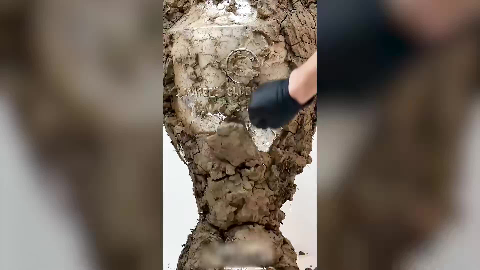 Perfect Makeover Cleaning ASMR 广告素材